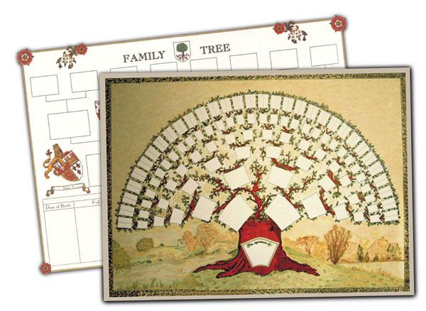 More info about Colour A2 Oak Tree Chart & Blank Family Tree Chart