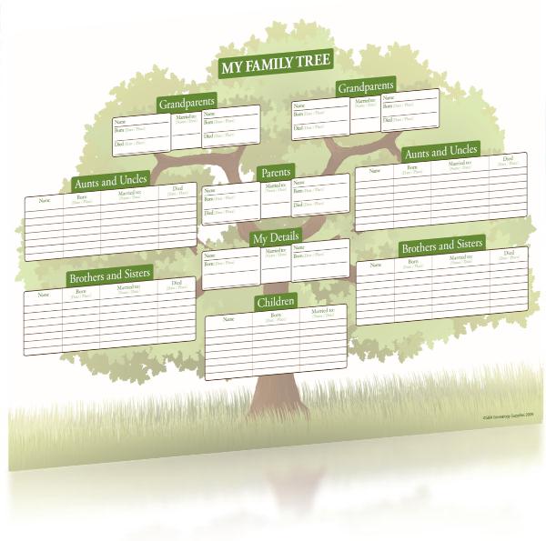 More info about Colour 'The Family Oak' A2 Tree Chart, Family Historian
