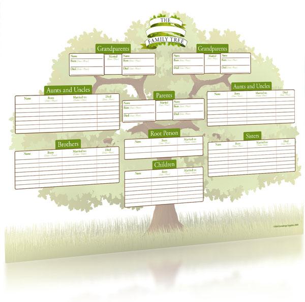 A3 Tree Chart, Family Historian