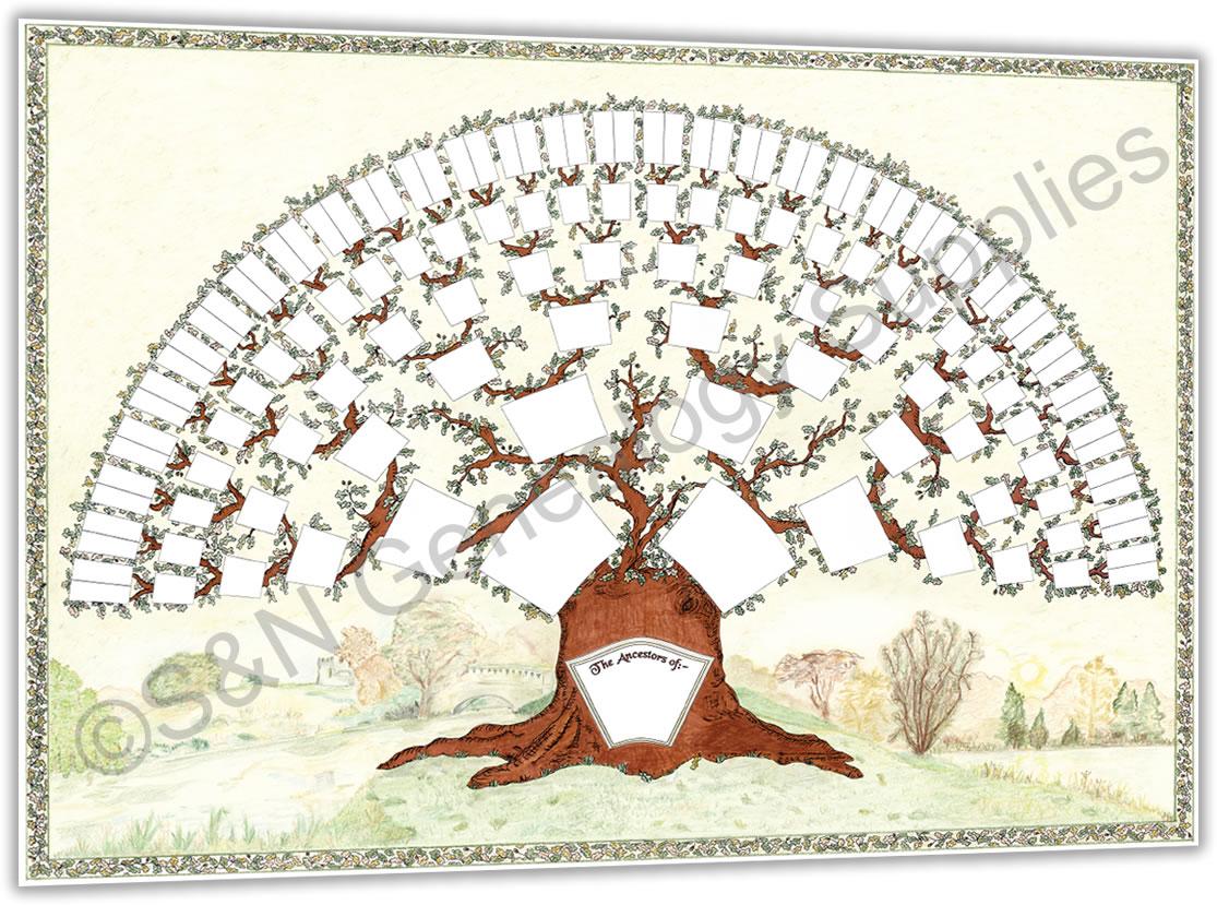 More info about Oak Chart