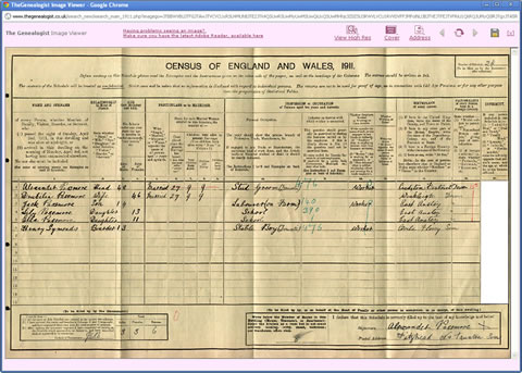 Somerset 1911 Census Screenshot