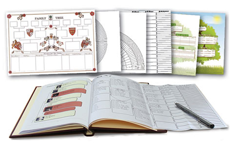 Buy 2 Springback Binders and get 6 Free Fold-Out Charts