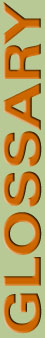 Glossary