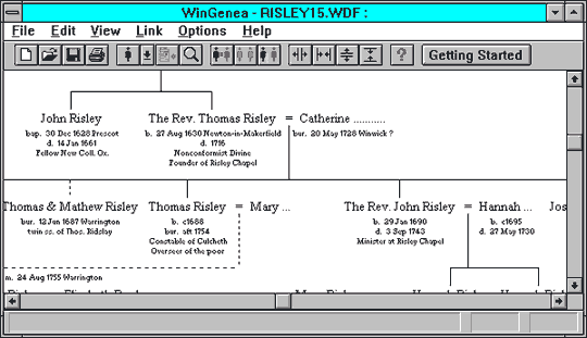 Wingenea screenshot